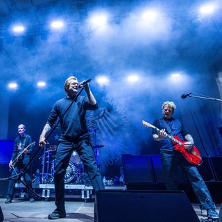 Die Toten Hosen bei einem Live-Konzert auf der Bühne.