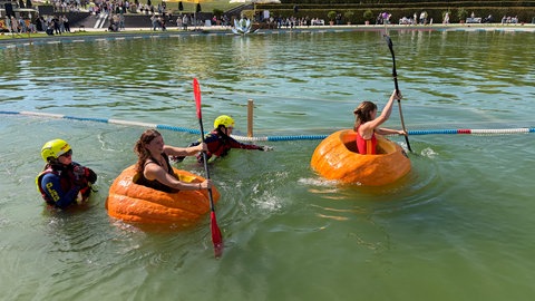Kürbis-Regatta im Blühenden Barock Ludwigsburg