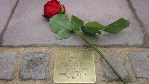 Stolpersteine mit roter Rose