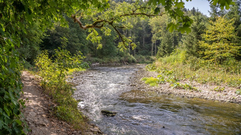 Natur pur in der Wutachschlucht