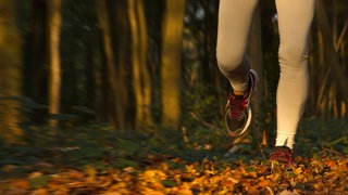 Ein Geländeläufer ist am Samstag im Schwarzwald bei Freiburg gestorben.