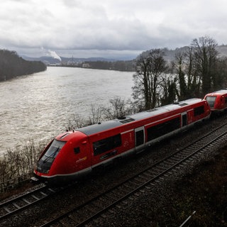 Ein Zug fährt auf der Strecke der Hochrheinbahn zwischen Basel und Erzingen. Im Hintergrund fließt der Rhein.