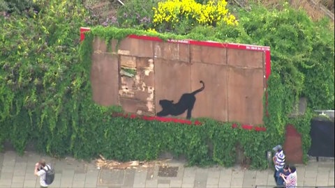 Katzen-Graffiti in Schliengen: Eine schwarze Katze auf einer großen Werbetafel neben Bahngleisen.