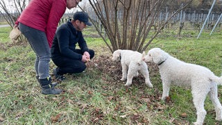 Elli und Heinrich Gretzmeier mit ihren Trüffelhunden Alba und Lotte im Tuniberg