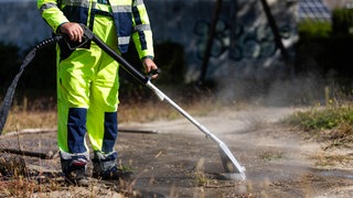 Ein Mann sprüht heißes Wasser auf den Boden. Kehl (Ortenaukreis) hat am Montag wieder mit der Bekämpfung gegen die invasiven Ameisen begonnen.