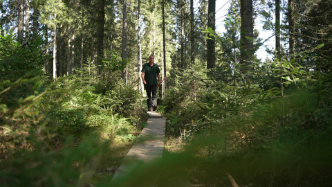 Ein Mann in Arbeitskleidung läuft auf einem kleinen Holzsteg durch ein Moorgebiet, das aussieht wie ein Wald.