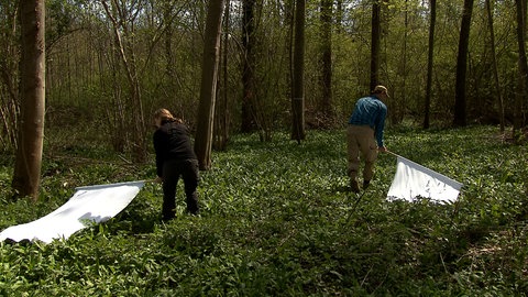 Fast das ganze Jahr gibt es Zecken in Baden-Württemberg.
