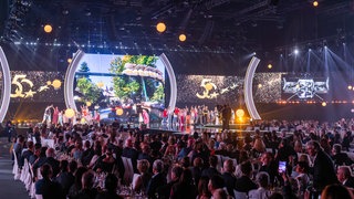 Mit einer großen Promi-Gala feierte der Europa-Park in Rust sein 50-jähriges Jubiläum.