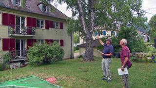 Im Freiburger Osten sollen drei ehemalige Offiziershäuser abgerissen und neu gebaut werden.