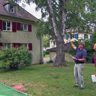 Im Freiburger Osten sollen drei ehemalige Offiziershäuser abgerissen und neu gebaut werden.