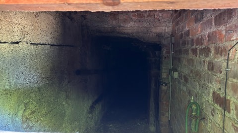 Ein Blick in die dunkle "Wochenstube" für die Fledermäuse in einem alten Heizkeller in Ettenheim. 
