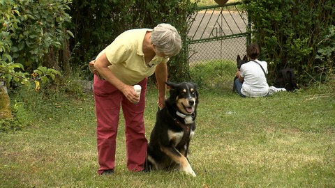 Astrid Hellebrand hat Lina zur Artenspürhündin ausgebildet.