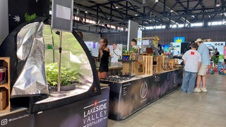 Ein Zelt mit Cannabispflanzen steht auf einem Tisch bei einer Cannabismesse in der Messe Freiburg.  