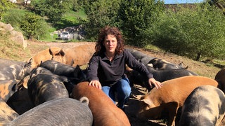Schweinzüchterin Judith Wohlfahrt inmitten ihrer Tiere