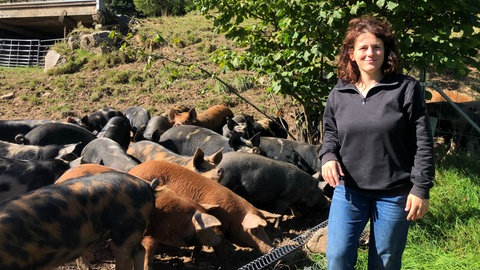 Judith Wohlfahrt steht vo eine Wiese mit Schweinen. Die Tiere sind rostrot, schwarz oder gefleckt.