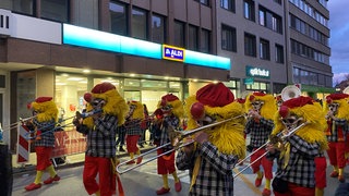 Fasnachtsumzug in Lörrach