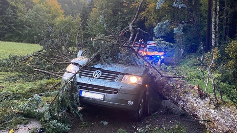 Ein abgebrochener Nadelbaum ist auf einen Kleinbus gestürzt und hat dessen Insassen schwer verletzt