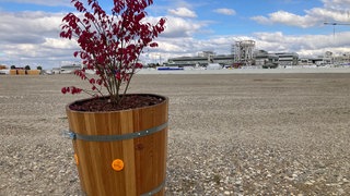Einer der Blumenkübel, die Martin Herrenknecht hat entfernen lassen, steht auf einer Fläche.