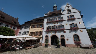 Wer zieht ins Rathaus ein? Vier Kandidaten und eine Kandidatin bewerben sich um das Bürgermeister-Amt.