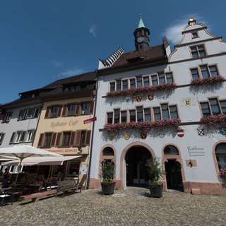 Wer zieht ins Rathaus ein? Vier Kandidaten und eine Kandidatin bewerben sich um das Bürgermeister-Amt.