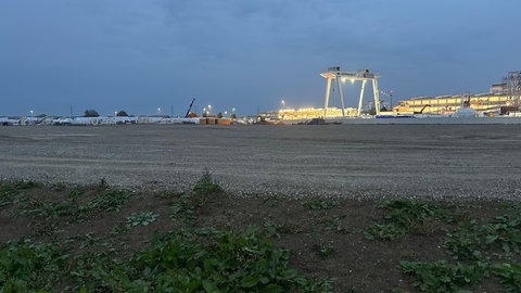 Die Blumenkübel stehen nicht mehr auf dem Gelände der Firma Herrenknecht.