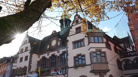 Das Freiburger Rathaus