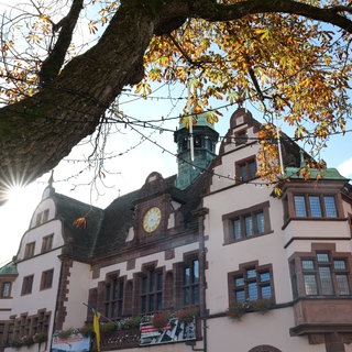 Das Freiburger Rathaus