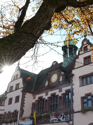 Das Freiburger Rathaus