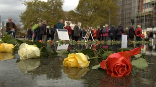 Eine Rose liegt im Brunnen auf dem Platz der Alten Synagoge in Freiburg