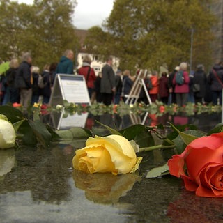 Eine Rose liegt im Brunnen auf dem Platz der Alten Synagoge in Freiburg
