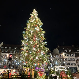 Der Weihnachtsbaum auf dem Straßburger Weihnachtsmarkt 2026. 