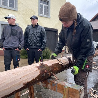 Ein Baum wird geschält. 