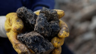 Schwarze Brocken Teer von der Baustelle in Freiburg, die Gift enthalten, in den Händen des Wisenschaftlers Nik Geiler.