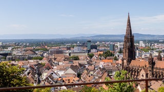 Stadtansicht von Freibung mit dem Münster