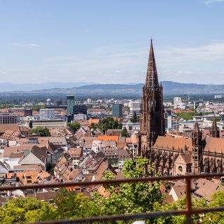 Stadtansicht von Freibung mit dem Münster