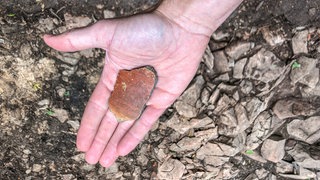Fundstück bei Ausgrabungen einer Kelten-Siedlung bei Hayingen