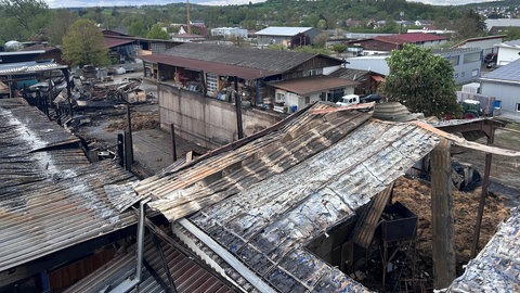 Nach einem Großbrand auf einem Pferdehof in Ofterdingen sind die letzten Glutnester erloschen. 