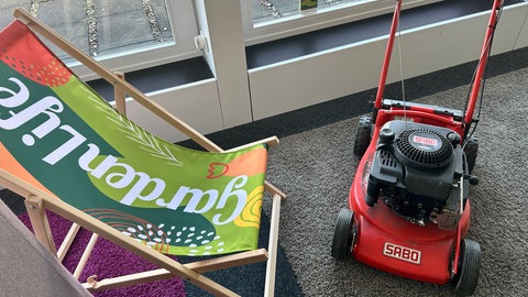 Ein roter Rasenmäher als Anschauungsobjekt auf dem grauen Teppich im Seminarraum der Volksbank. Er soll auf eine besondere Aktion bei der Messe GardenLife in Reutlingen hinweisen. 