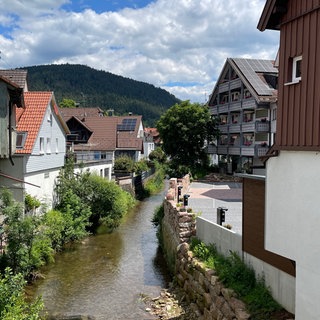 Die Bürgermeisterwahl in Alpirsbach (Kreis Freudenstadt) ist für ungültig erklärt worden. Der neu gewählte Bürgermeister soll die Wählerinnen und Wähler getäuscht haben, indem er seine Suspendierung bei der Polizei abgestritten hat.