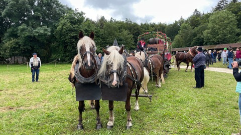 Bierkutsche beim Großen Fuhrmannstag im Freilichtmuseum Neuhausen ob Eck