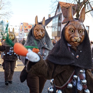 Begeisterte Zuschauer und eine Narrengruppe als Hasen beim Umzug in Tübingen-Hirschau. Dort waren nur Tiermasken unterwegs. 