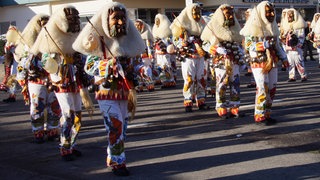 Fasnet in Rottenburg: Die Hauptfigur ist der Ahland. Er ist beim Narrentreffen mit dabei.