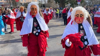 Die Schwenninger Ziegel-Buben ziehen mit Häs und Maske beim Fasnetsumzug in Dornstetten durch die Straßen.