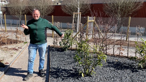 Dem Schottergarten gibt Nikolai Züfle einen Daumen nach unten. Bei der Gartenschau will er zeigen, wie man Vorgärten anlegen kann. 