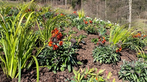 Ein Erdhügel -Linse nennen es die Fachleute - auf dem Gelände der künftigen Gartenschau Freudenstadt & Baiersbronn. 