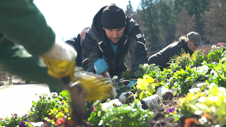 Mehrere Personen mit Handschuhen und Schaufen setzen viele Pflänzchen für die Gartenschau Freudenstadt & Baiersbronn