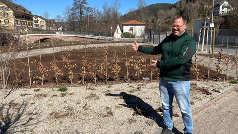 Den mit Sand gemulchten Vorgarten präsentiert Nikolai Züfle mit freudiger Miene. Er will Besuchern der Gartenschau Tipps geben.