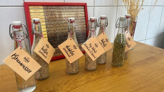 Bier-Bügelflaschen, die zur Veranschaulichung mit Hopfen oder Gerste gefüllt sind am Tag der Gründung des Bierschutzvereins. 