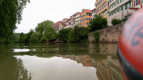Der Neckar in Tübingen führt am Tag vor dem Stocherkahnrennen ziemlich viel Wasser.