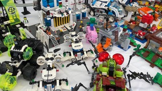 Ein Tisch voller Tiere und Fantasiewesen aus Legosteinen: Die Legosets sind in Thomas Königs Laden in Altensteig nach Themen sortiert.